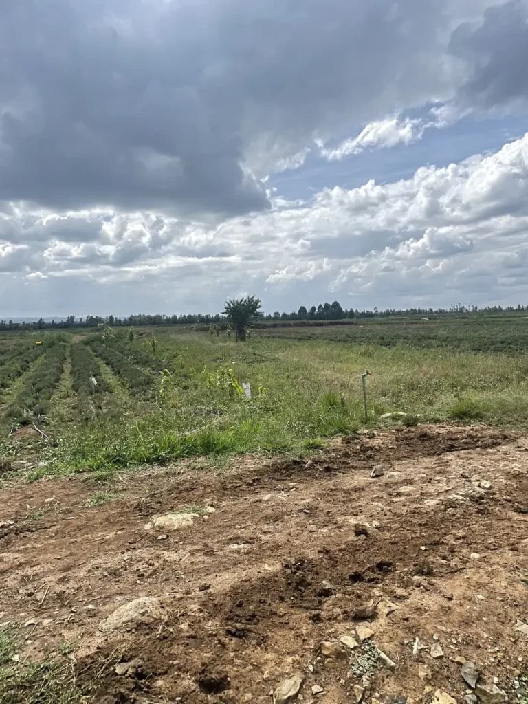 Image of a Nuasense farm visit in Laikipia county