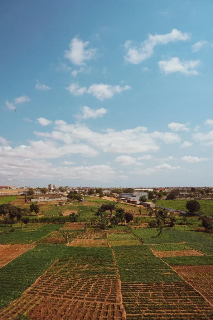 Smallholder farmland