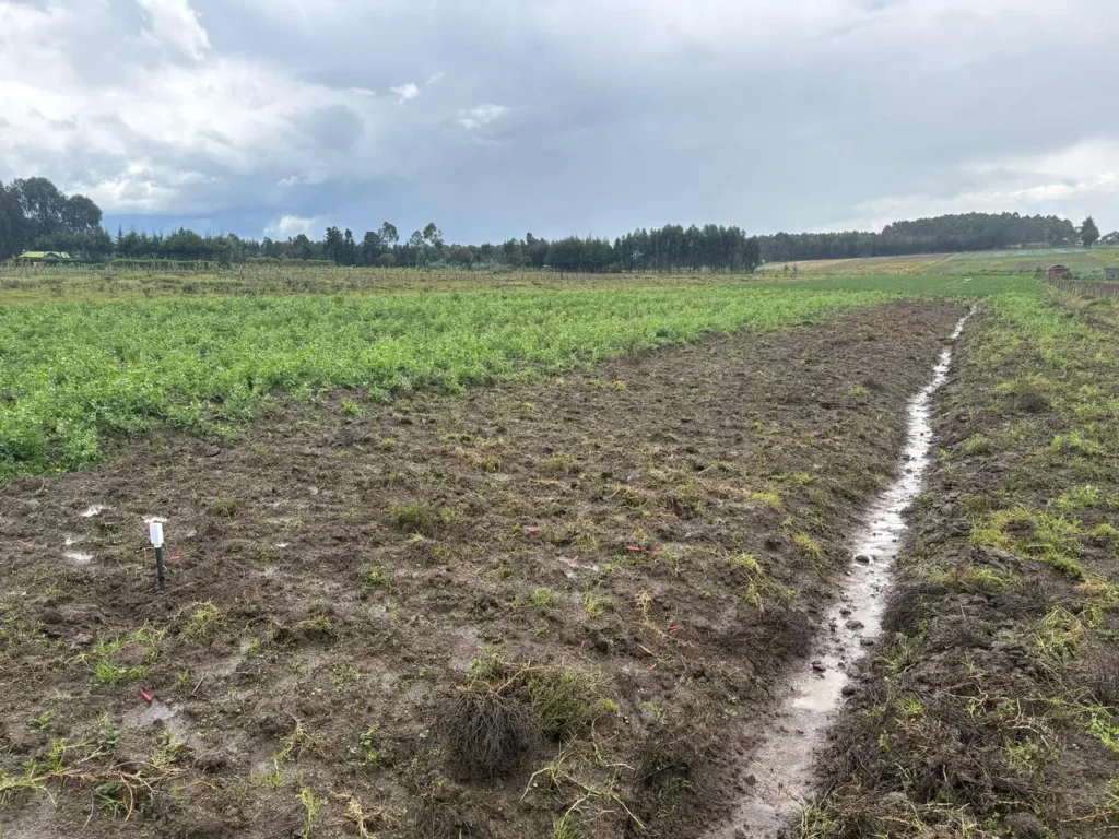 IoT Sensor from NuaSense to detect blight