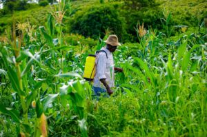 Image of farmer applying pestice